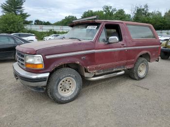  Salvage Ford Bronco