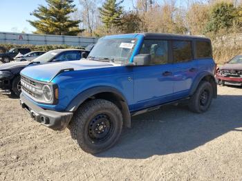  Salvage Ford Bronco