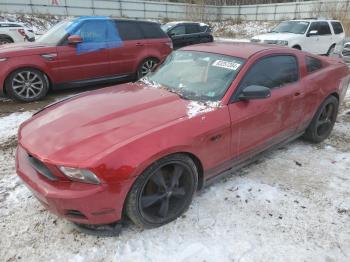  Salvage Ford Mustang