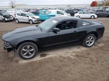  Salvage Ford Mustang