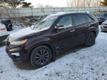  Salvage Kia Sorento