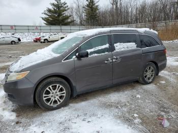  Salvage Honda Odyssey