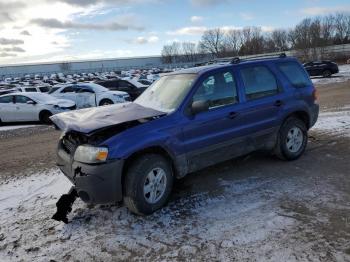  Salvage Ford Escape