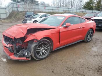  Salvage Ford Mustang