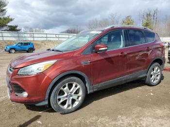  Salvage Ford Escape