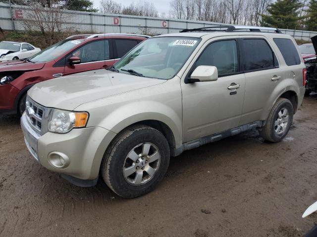  Salvage Ford Escape