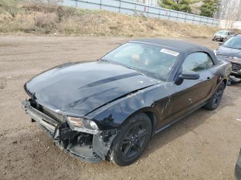  Salvage Ford Mustang