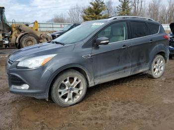  Salvage Ford Escape