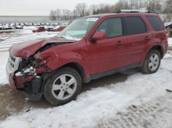  Salvage Ford Escape