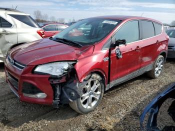  Salvage Ford Escape