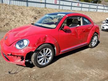  Salvage Volkswagen Beetle