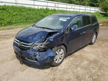  Salvage Honda Odyssey
