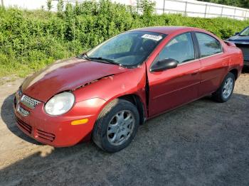  Salvage Dodge Neon