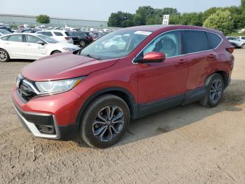  Salvage Honda Crv