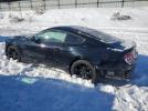 Ford Mustang Image 2