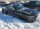 Ford Mustang Image 8