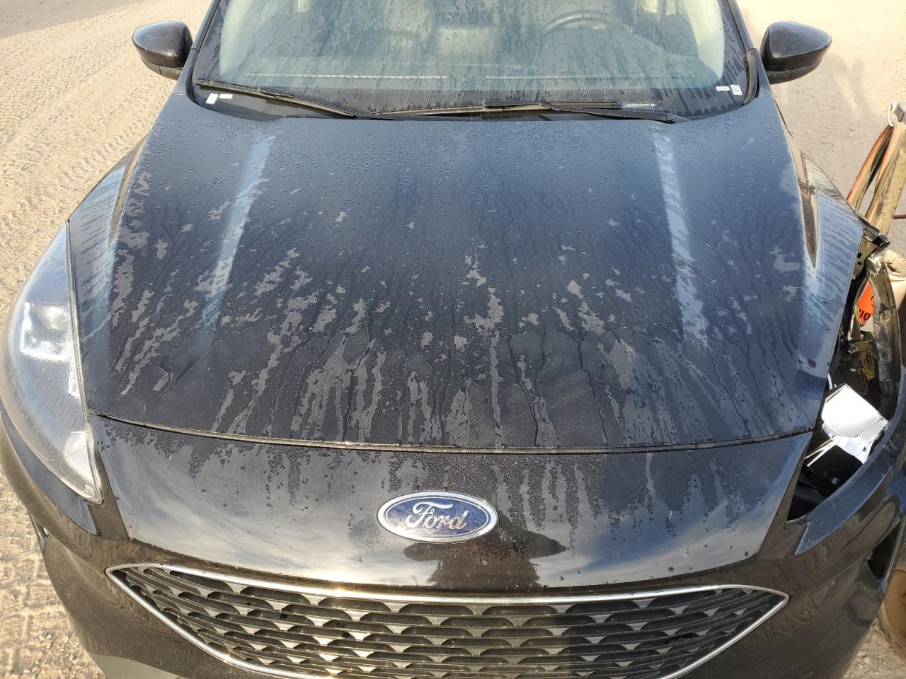 Ford Escape Sel Image 2