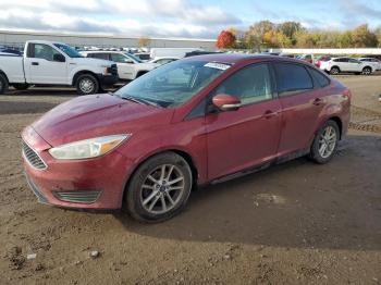  Salvage Ford Focus