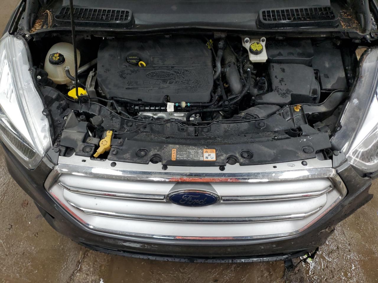 Ford Escape Sel Image 12