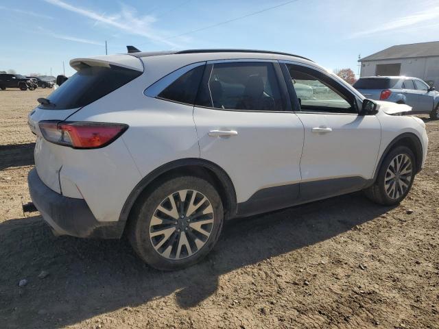 Ford Escape Sel Image 4