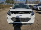 Ford Escape Sel Image 2