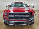 Ford F-150 Raptor Image 2