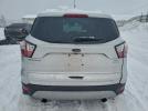 Ford Escape Sel Image 3