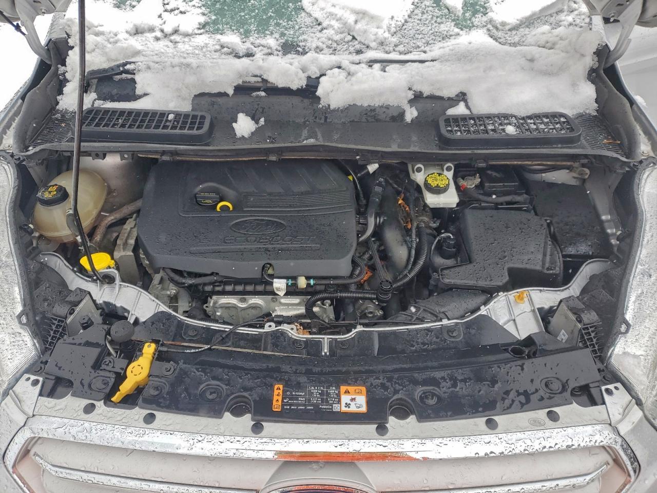 Ford Escape Sel Image 4