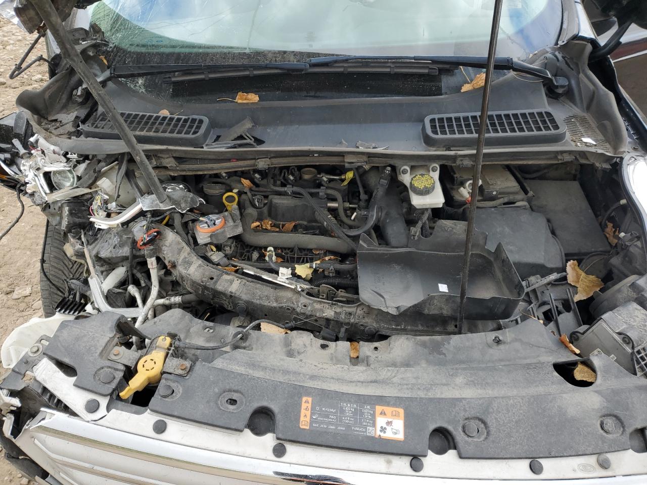 Ford Escape Sel Image 13