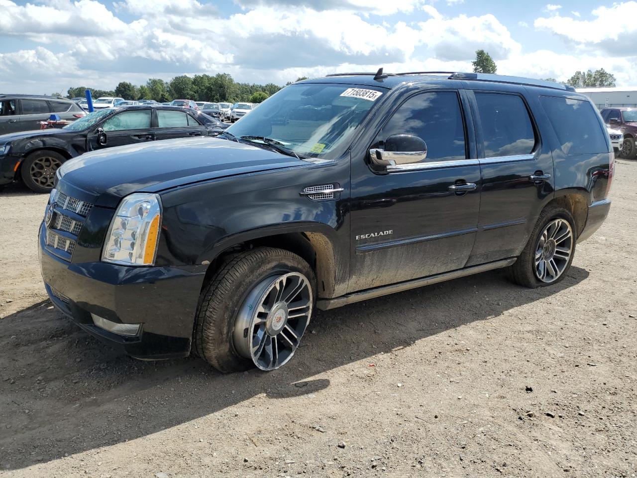 Cadillac Escalade Premium Image 1