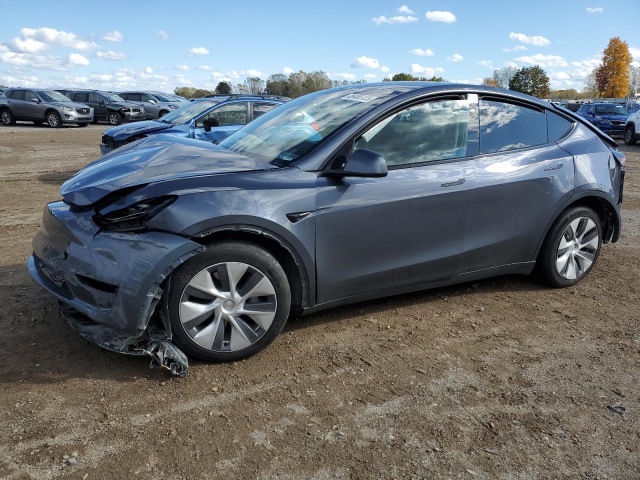 Tesla Model Y Image 1