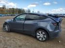 Tesla Model Y Image 4