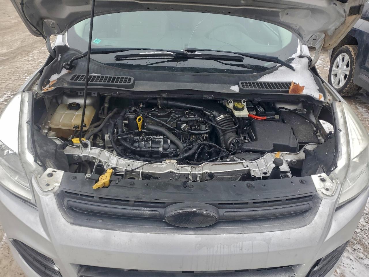 Ford Escape Se Image 11