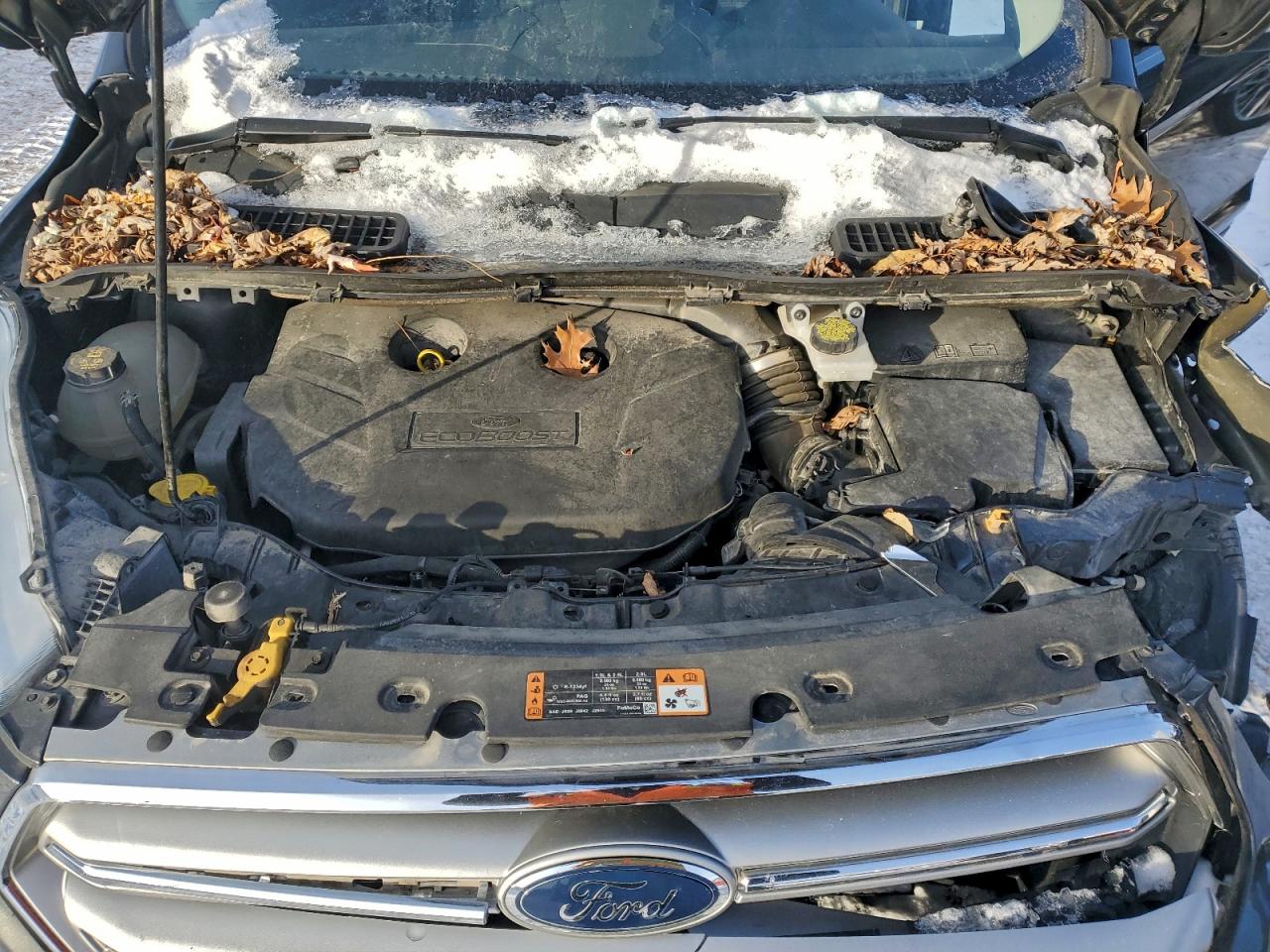 Ford Escape Titanium Image 9