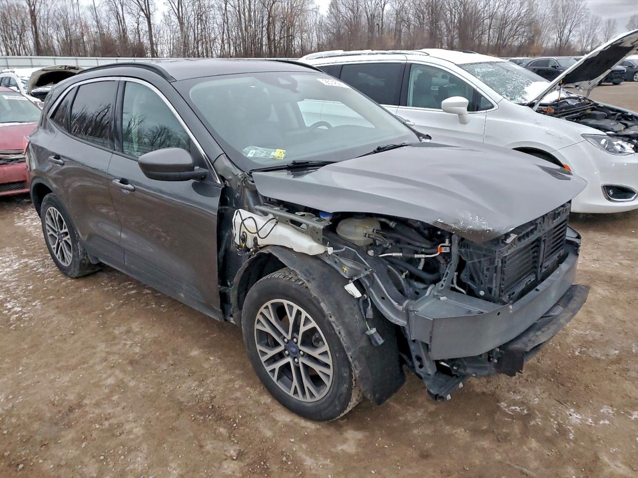 Ford Escape Sel Image 12