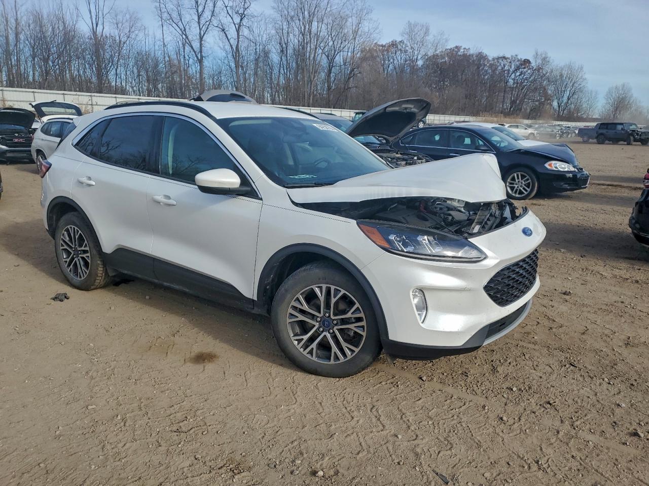 Ford Escape Sel Image 2