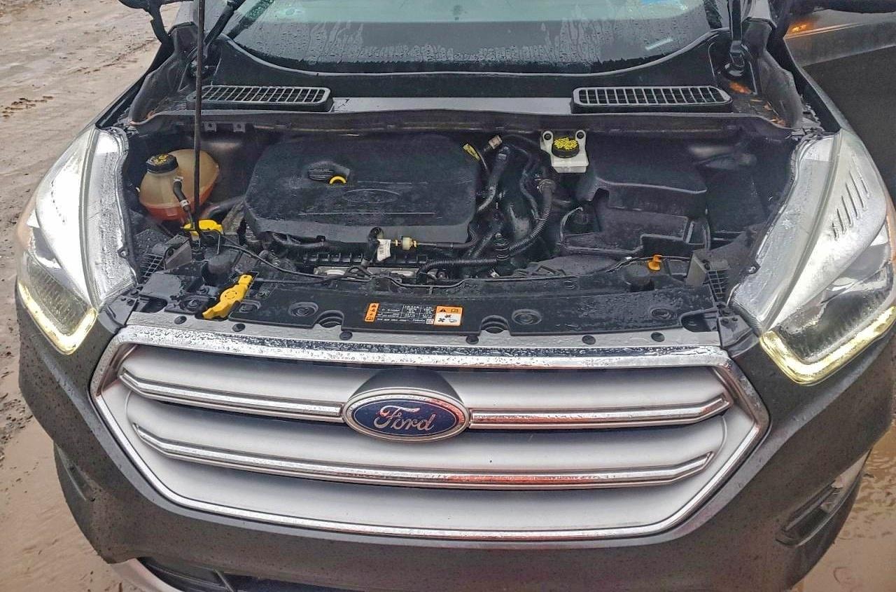 Ford Escape Titanium Image 8