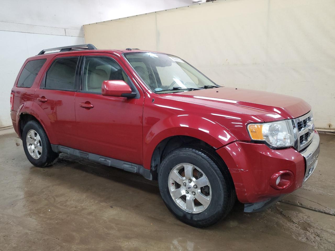 Ford Escape Limited Image 3