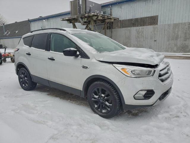Ford Escape Sel Image 3