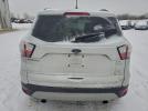 Ford Escape Sel Image 5