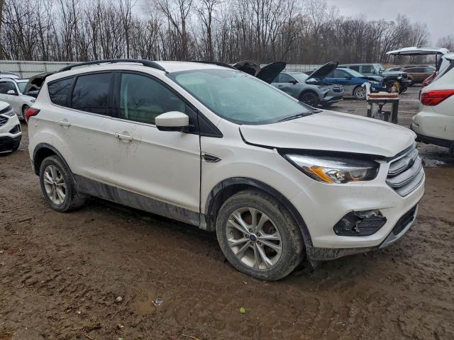 Ford Escape Sel Image 12