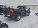 Ford F-150 Image 2