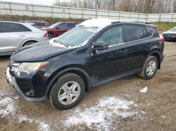  Salvage Toyota RAV4