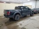 Ford F-150 Raptor Image 2