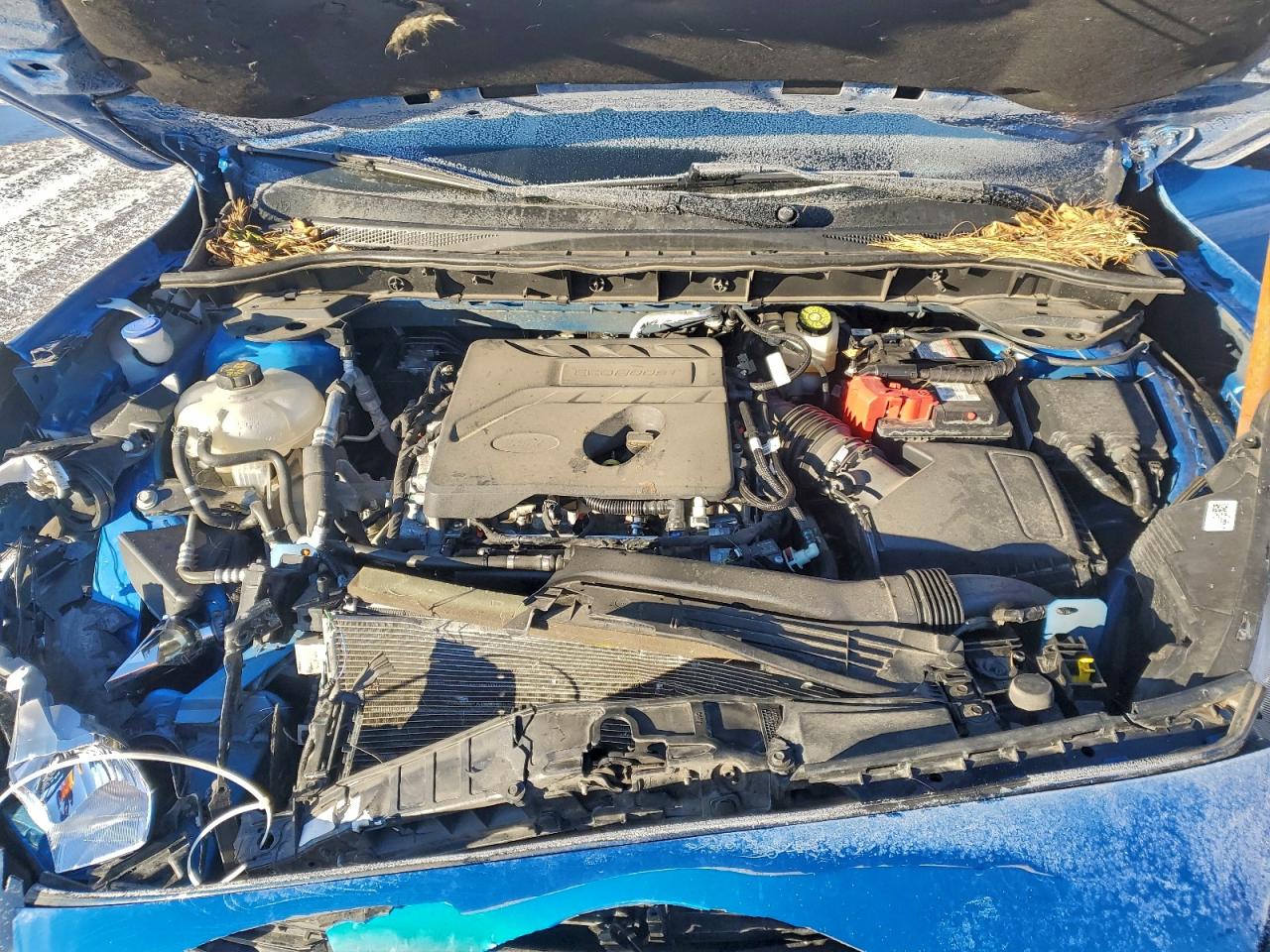 Ford Escape Se Image 12