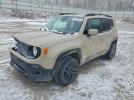 Jeep Renegade Latitude Image 1